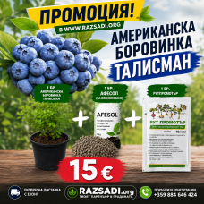 Американска Боровинка сорт Talisman Рутпромотър (10 мл) и Афесол (30 грама)