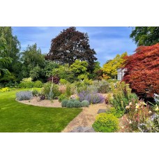 Аминокиселини и силикон