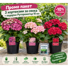 ПРОМО ПАКЕТ: 3 ХОРТЕНЗИИ ЗА СЯНКА + ПОДАРЪК РУТПРОМОТЪР 10 мл