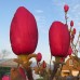 Магнолия 'Black Tulip' PBR ( В 2 литрова саксия ) Магнолия 'Black Tulip' PBR ( В 2 литрова саксия )