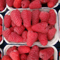 Малина сорт 