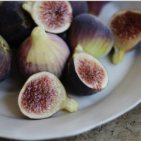 Смокиня сорт Султана на Марабу(растенията са високи 20 см)