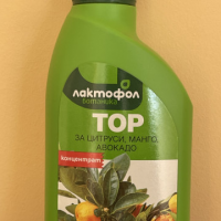 Лактофол тор 