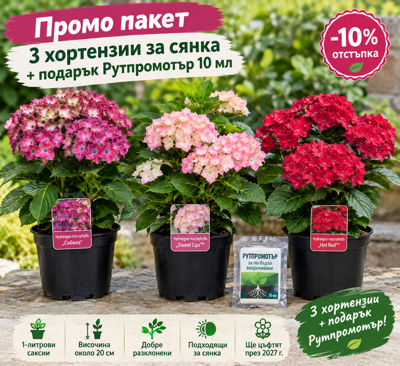 ПРОМО ПАКЕТ: 3 ХОРТЕНЗИИ ЗА СЯНКА + ПОДАРЪК РУТПРОМОТЪР 10 мл